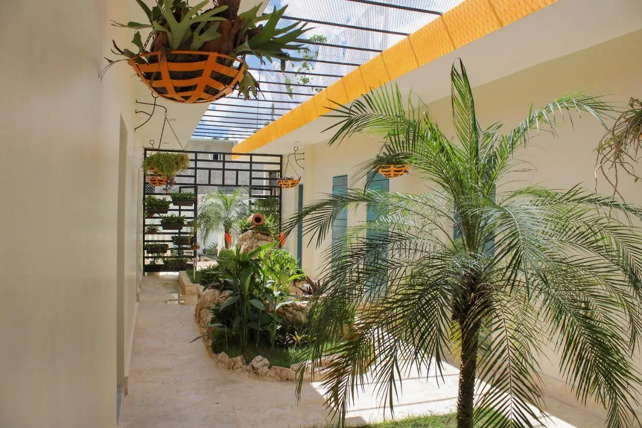 Πανσιόν Hotel Van Vliet Πούντα Κάνα