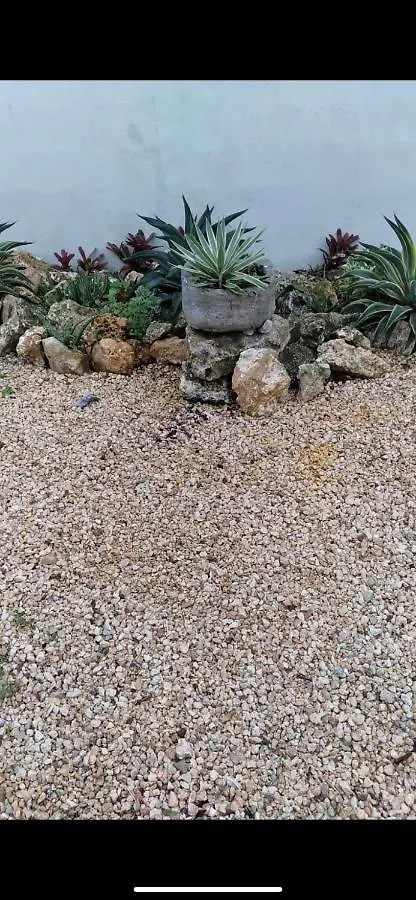 Hotel Van Vliet Πούντα Κάνα 0*,  Δομινικανή Δημοκρατία